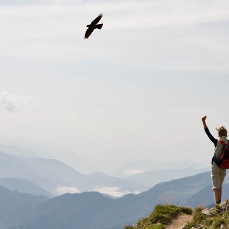 Ein Blick in die Alte Wurzhütte Wanderer mit Rucksack auf Berg mit Blick auf Nebel über Bergen und fliegendem Vogel