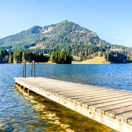 Ein Blick in die Alte Wurzhütte Holzsteg führt über klaren Bergsee mit Wald und Berg im Hintergrund