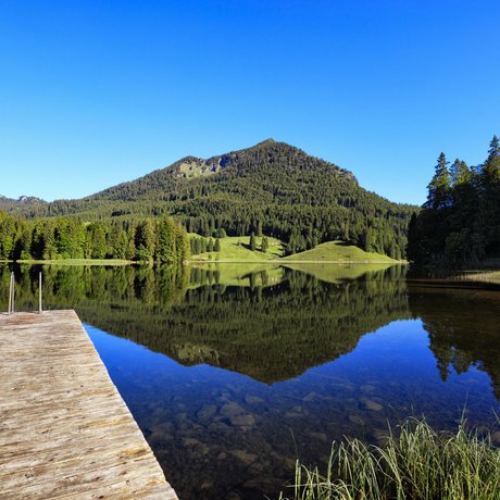 Ein Blick in die Alte Wurzhütte Steg an einem ruhigen Bergsee mit Wälder- und Bergreflexion bei klarem Himmel