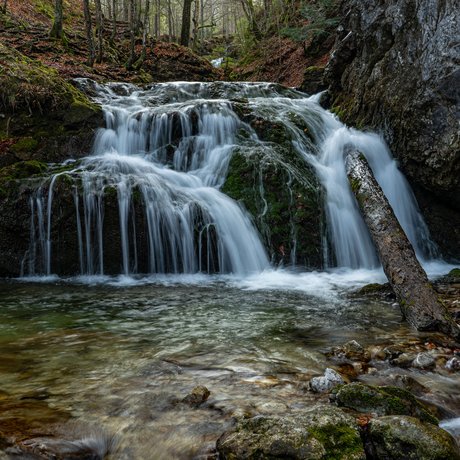 Ein Blick in die Alte Wurzhütte Kleiner Wasserfall mit klarem Bach in bewaldeter, felsiger Landschaft