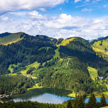 Ein Blick in die Alte Wurzhütte Bergsee umgeben von Wäldern und grünen Hügeln unter blauem Himmel