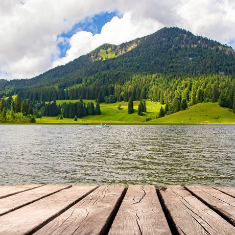Ein Blick in die Alte Wurzhütte Holzsteg am See mit Berg und Wald im Hintergrund bei bewölktem Himmel
