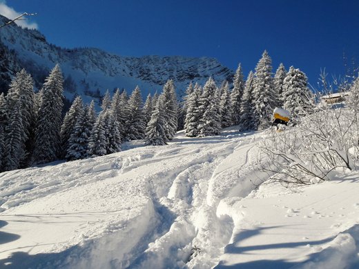 Mit einem Lächeln aufstehen im Hotel am Spitzingsee Verschneiter Waldhang mit Spuren im Schnee unter blauem Himmel