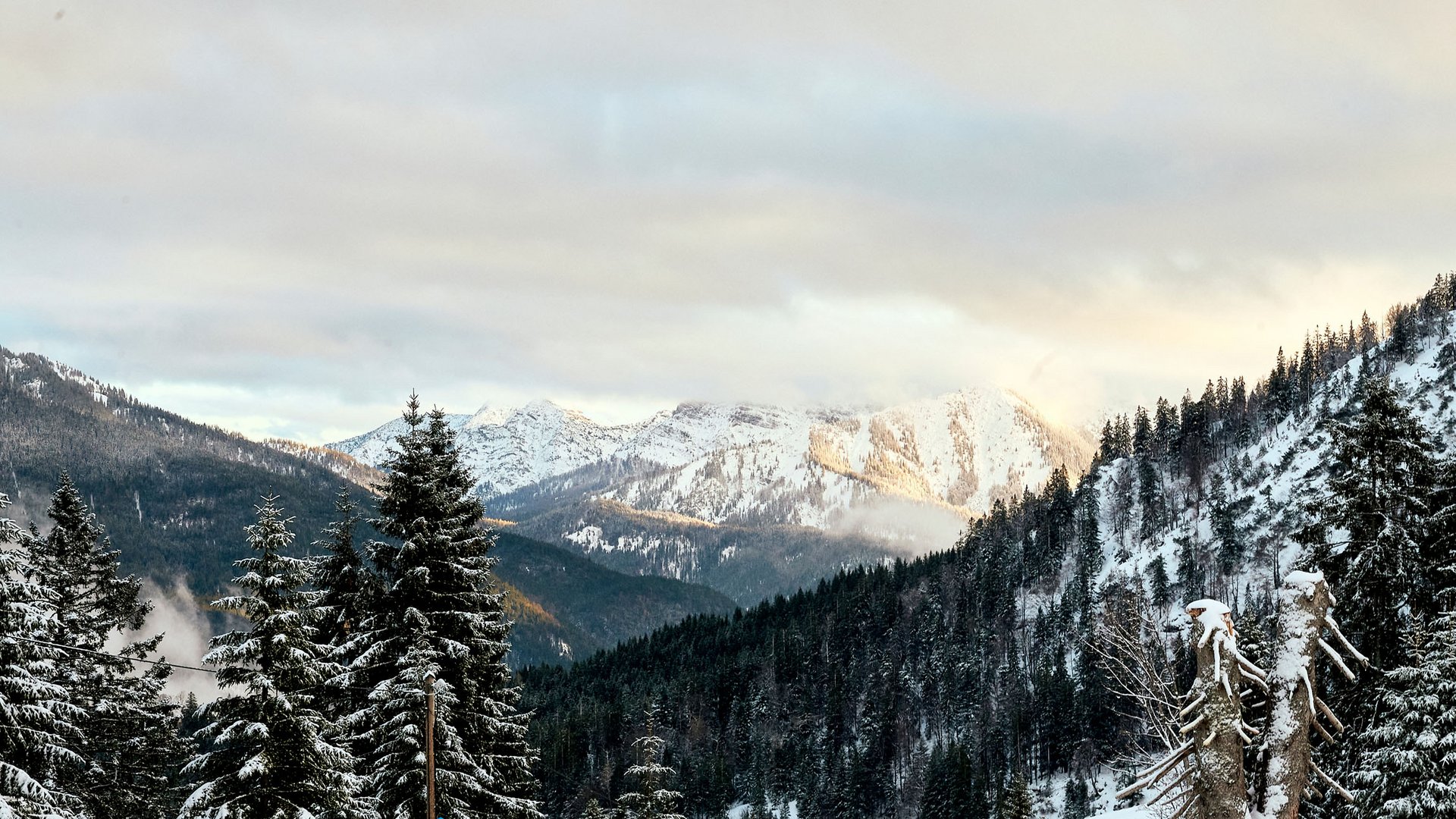 Mit einem Lächeln aufstehen im Hotel am Spitzingsee Schlitten auf verschneitem Hügel mit Blick auf bewaldete Berge im Winter